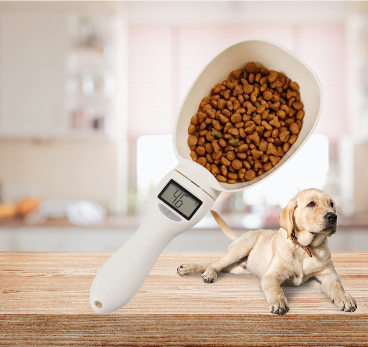 Electronic Measuring food Dog And Cat