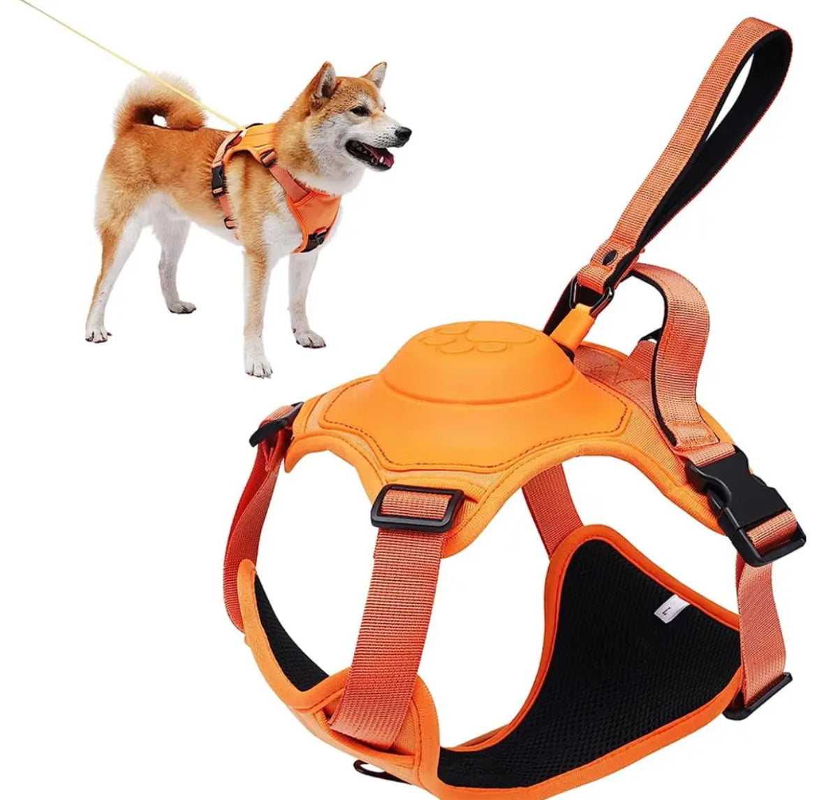 Automatic Locking Dog Leash