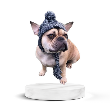 Warm Dog Hats Windproof Hat