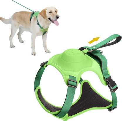 Automatic Locking Dog Leash