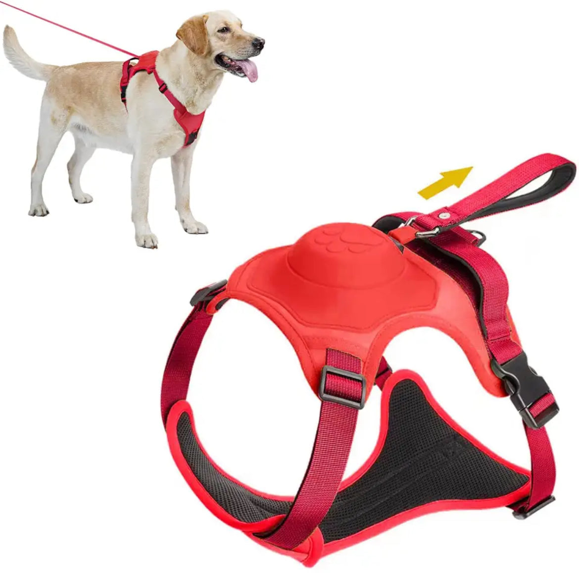 Automatic Locking Dog Leash