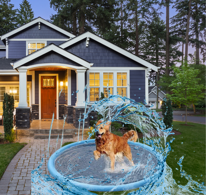 Swimming Pool For Dog