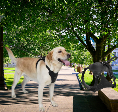 Automatic Locking Dog Leash