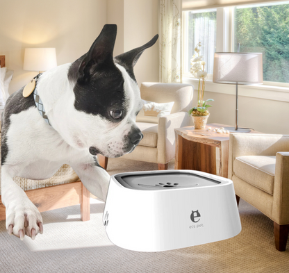 Drinking Water Dispenser Dog Bowl