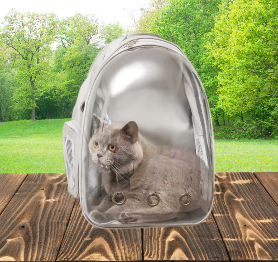 Cat Pet Carrier Backpack