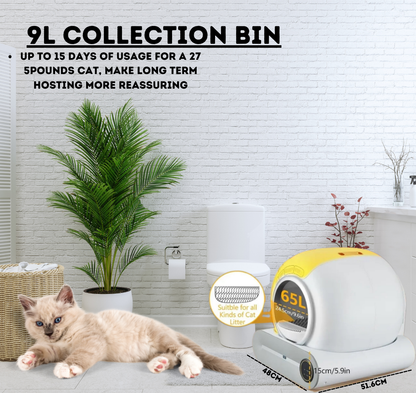 Automatic Cat Litter Box